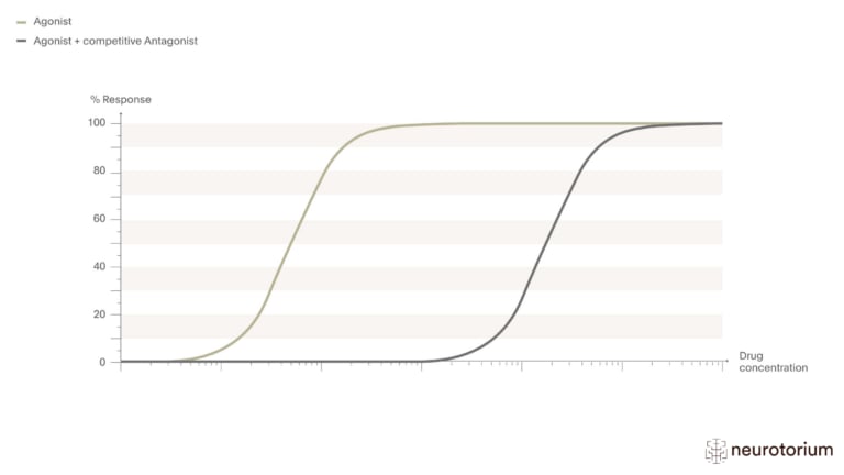 This image illustrates how a Competitive Antagonist Blocks an Agonist