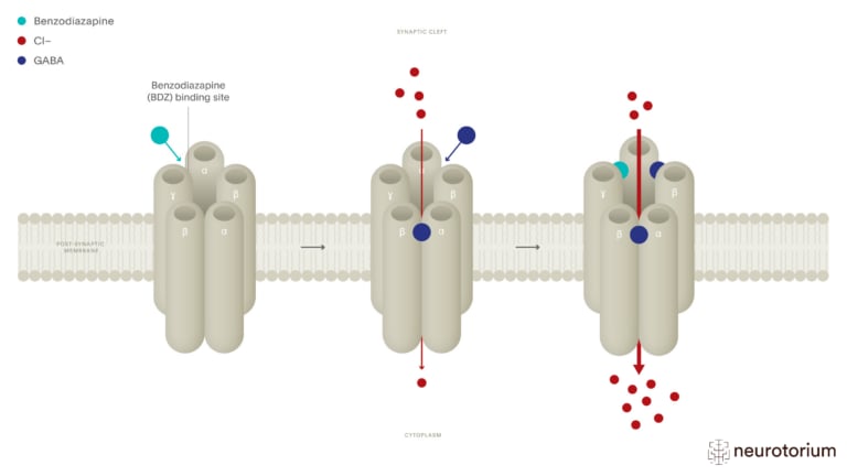 This image illustrates the Mechanism of Action of the Benzodiazepines