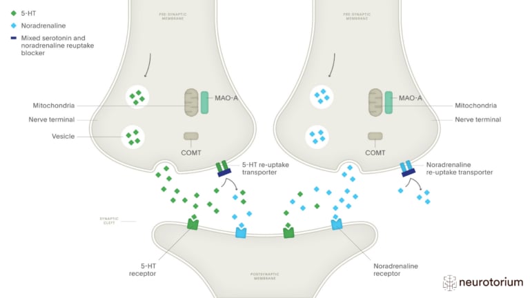 This image illustrates the mechanism of action of selective serotonin and noradrenaline re-uptake inhibitors
