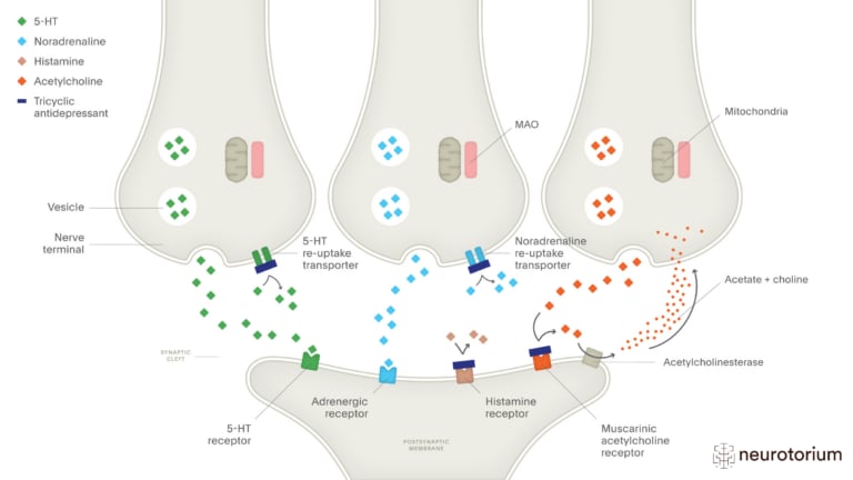 This image illustrates the mechanism of action of Tricyclic Antidepressants (TCAs)