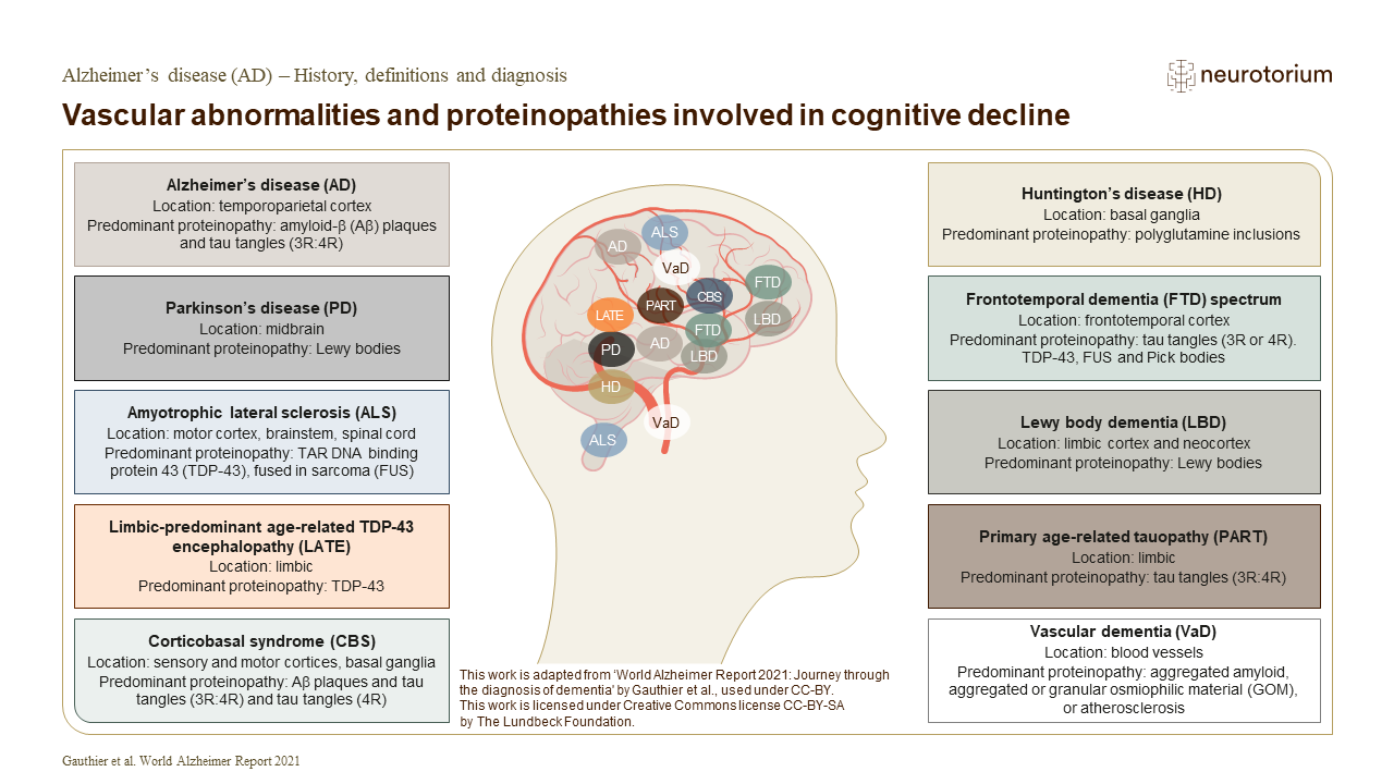 Abnormalities in blood flow to the brain, as well as CVD cause dementia. It has been well established that dementia symptoms represent neuronal loss resulting from the progressive accumulation of dysfunctional brain proteins – a process called proteinopathy. 
