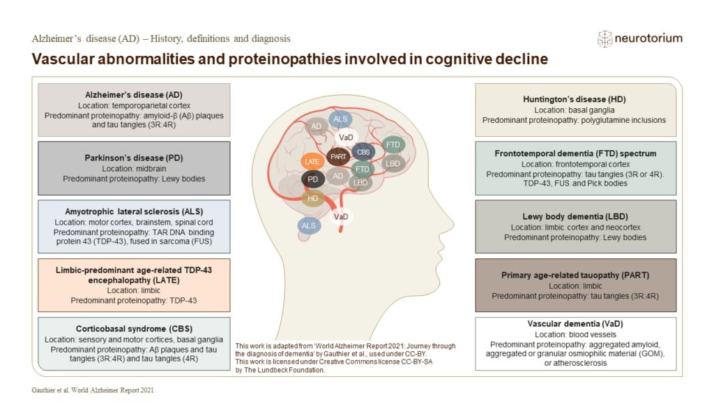 Vascular abnormalities and proteinopathies involved in cognitive decline