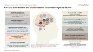 Vascular abnormalities and proteinopathies involved in cognitive decline