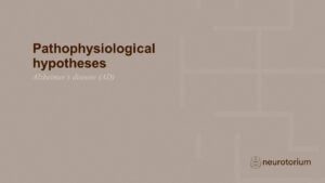Pathophysiological hypotheses