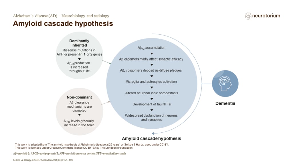 Amyloid cascade hypothesis
