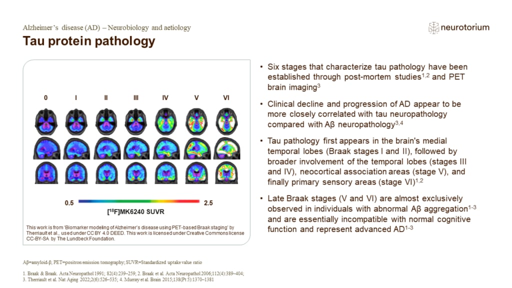 Tau protein pathology
