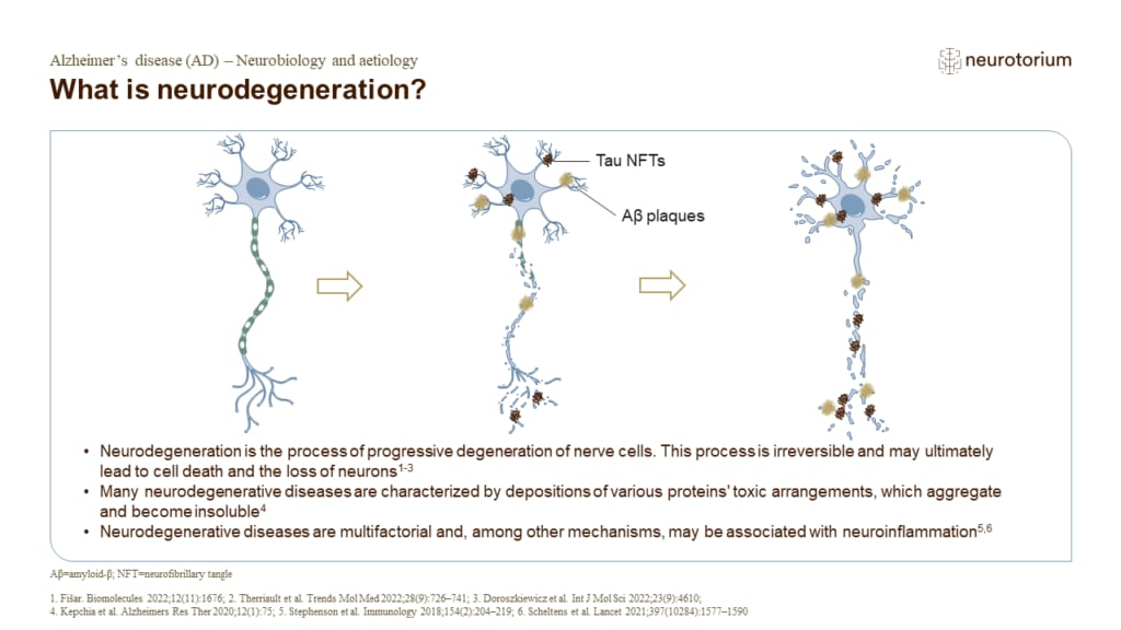What is neurodegeneration?