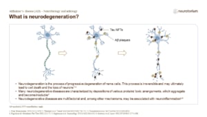 What is neurodegeneration?