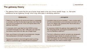 Illustration of the gateway theory