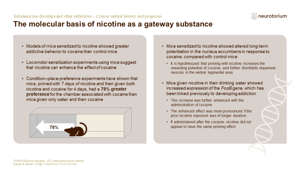 Illustration of the molecular basis of nicotine as a gateway substance