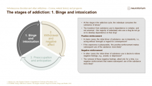 Illustration of the stages of addiction: 1. Binge and intoxication