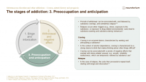Illustration of the stages of addiction: 3. Preoccupation and anticipation