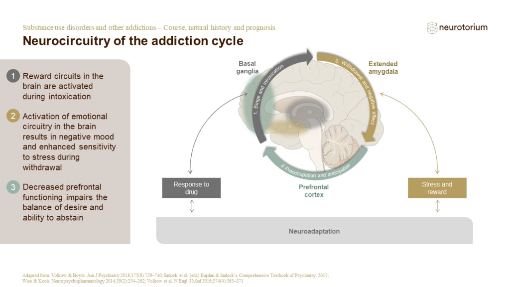 Illustration of neurocircuitry of the addiction cycle