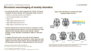 Structural neuroimaging of anxiety disorders