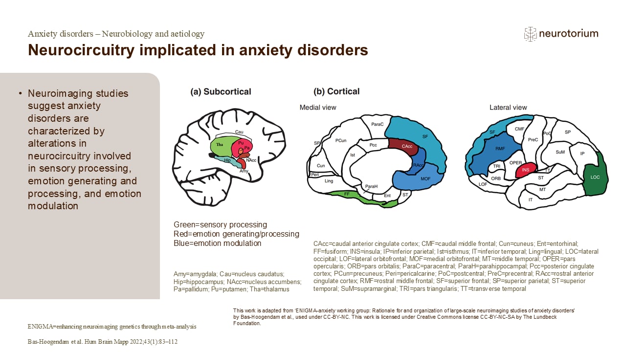 Neurocircuitry implicated in anxiety disorders
