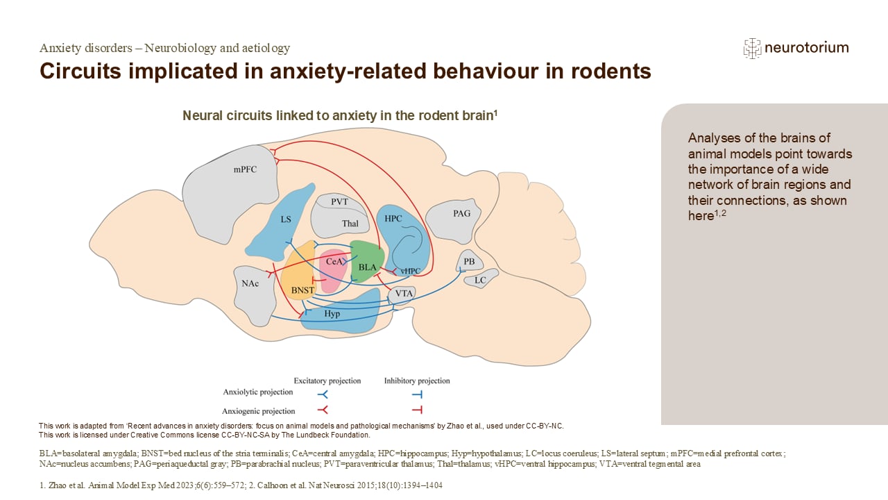 Circuits implicated in anxiety-related behaviour in rodents