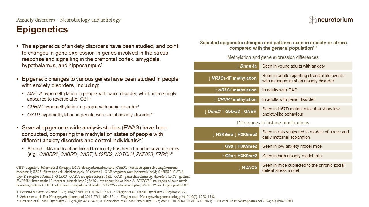 Epigenetics