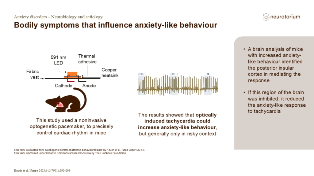 Bodily symptoms that influence anxiety-like behaviour