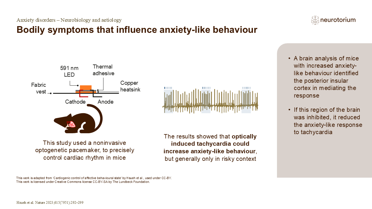 Bodily symptoms that influence anxiety-like behaviour