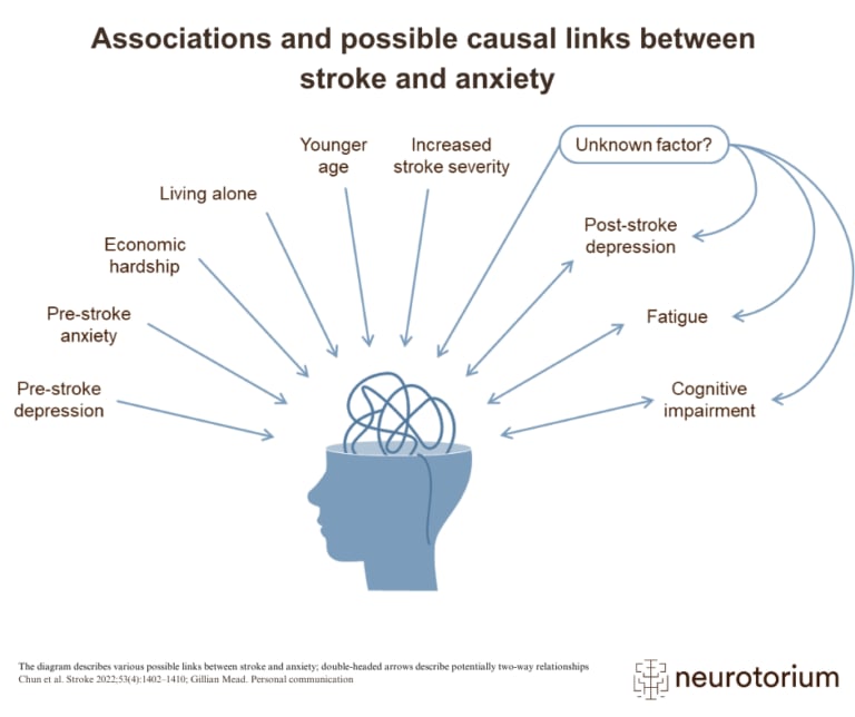 Associations and possible causal links between stroke and anxiety