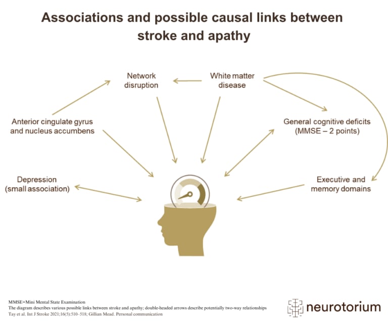 Associations and possible causal links between stroke and apathy