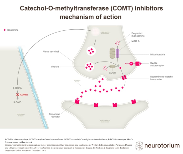 Diagram showing how COMT inhibitors block the conversion of L-DOPA to 3-OMD, enhancing dopamine levels in the synapse in Parkinson’s disease.