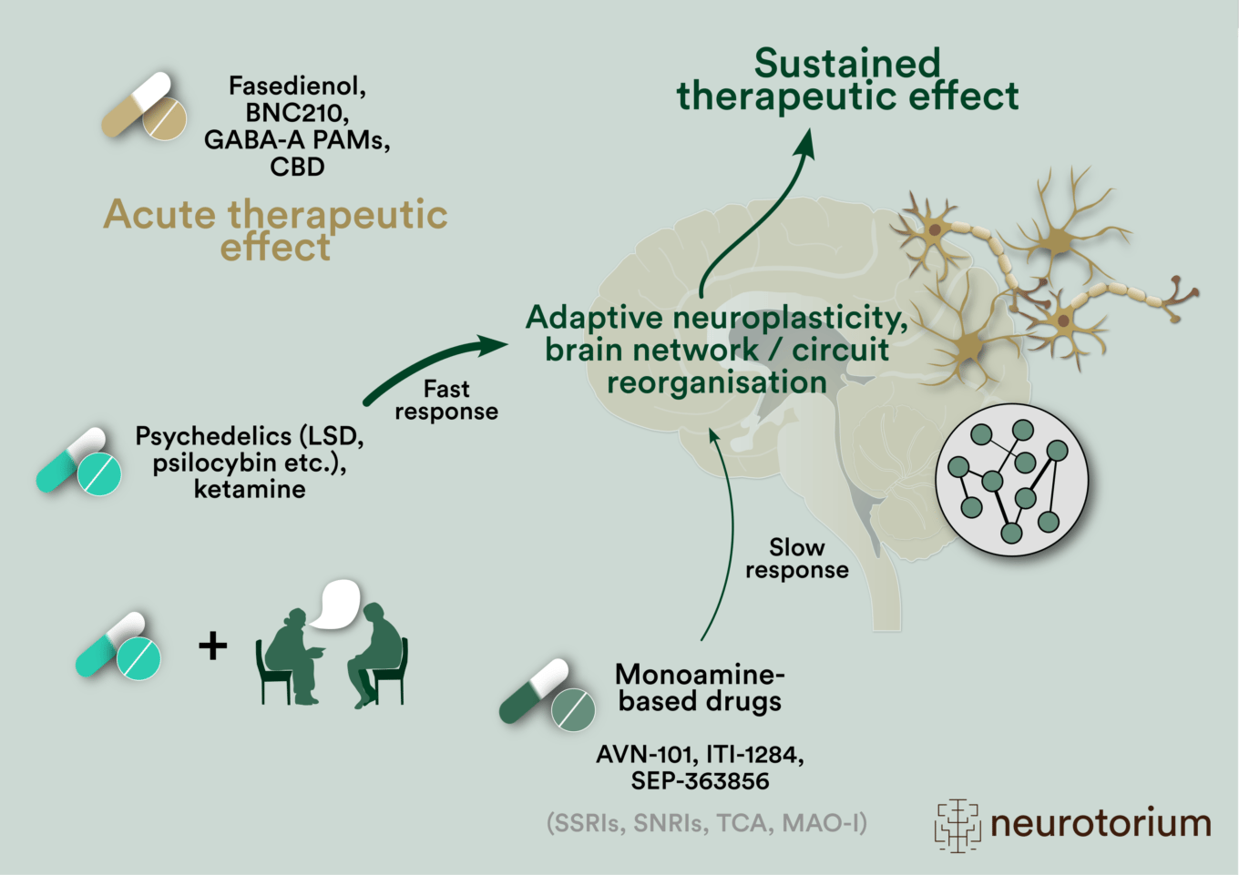 Drugs (selected) in clinical development designed to produce acute and/or enduring therapeutic effects in anxiety disorders