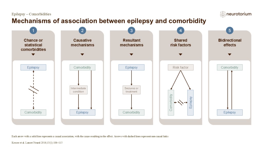Mechanisms of association between epilepsy and comorbidity