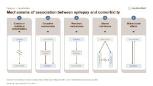 Mechanisms of association between epilepsy and comorbidity
