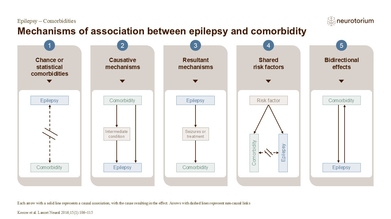Mechanisms of association between epilepsy and comorbidity