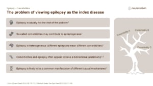 The problem of viewing epilepsy as the index disease