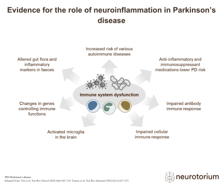 Illustration showing evidence for the role of neuroinflammation in Parkinson’s disease, including immune system dysfunction, activated microglia, altered gut flora, genetic immune variations, and reduced PD risk from anti-inflammatory medication. Created for educational use on Neurotorium.org.