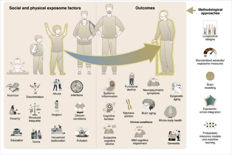 The physical and social exposome in brain health and dementia across the lifespan