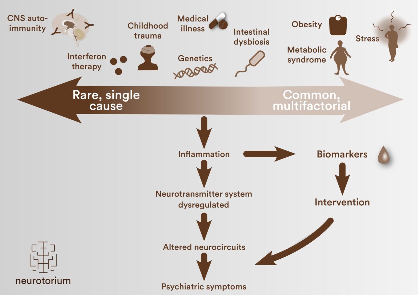 The immunopsychiatry continuum