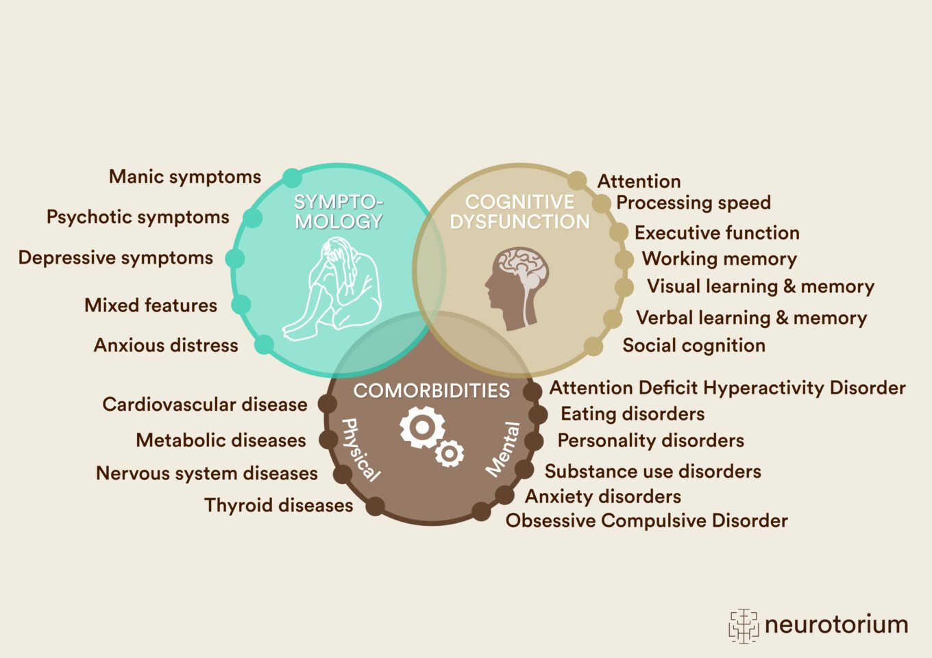 The Clinical Heterogeneity in Bipolar Disorder within Several Domains.