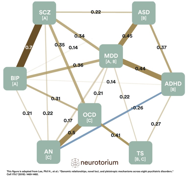 This figure represents the SNP (Single Nucleotide Polymorphism)-based genetic correlations between 8 major psychiatric disorders