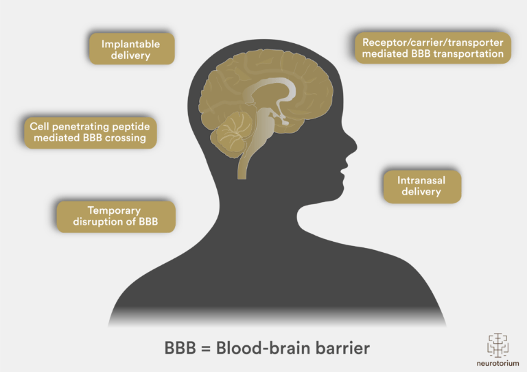 Drug Delivery Systems to the Brain