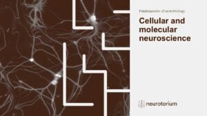 Slide introducing cellular and molecular neuroscience slide deck.