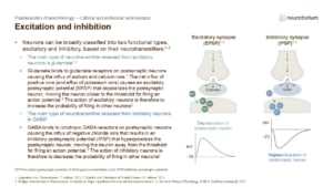 Slide showing excitatory and inhibitory synapses, illustrating how neurotransmitters cause depolarization or hyperpolarization of the postsynaptic neuron.