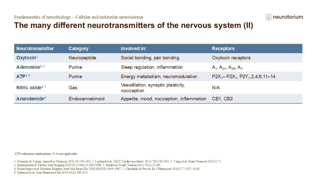 Slide showing additional neurotransmitters (oxytocin, adenosine, ATP, nitric oxide, anandamide) with their functions and receptor types.
