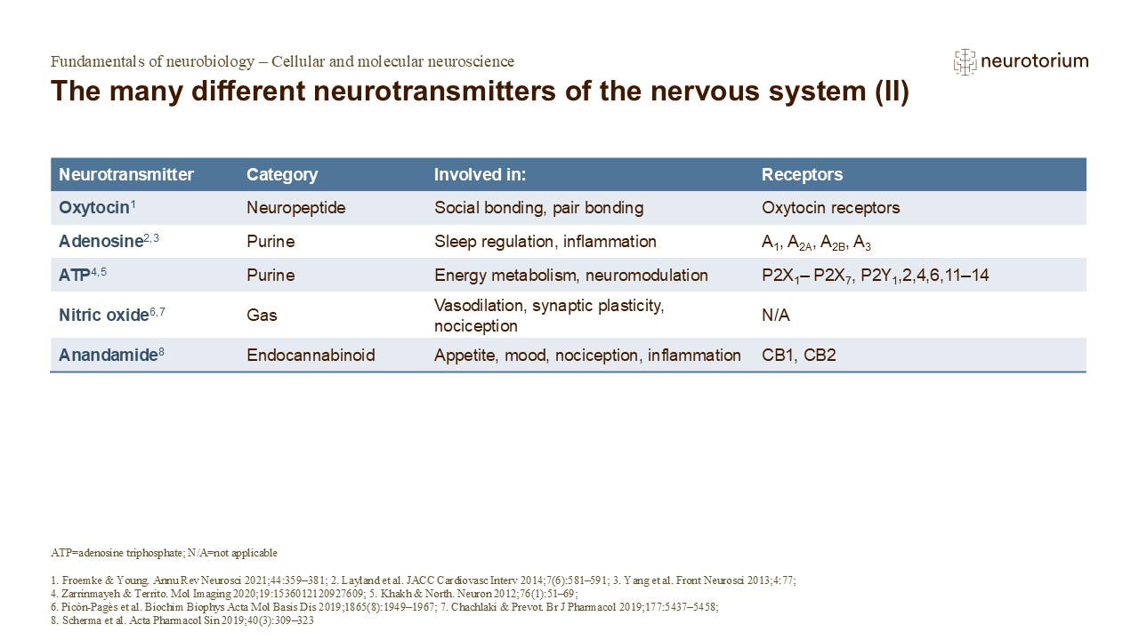 Slide showing additional neurotransmitters (oxytocin, adenosine, ATP, nitric oxide, anandamide) with their functions and receptor types.