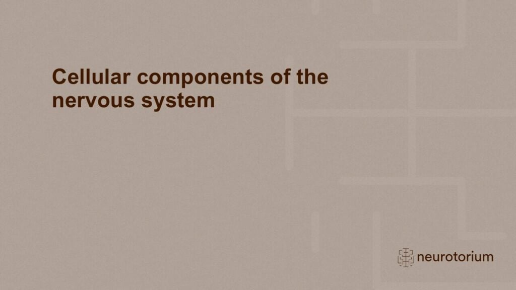 Slide introducing the chapter on cellular components of the nervous system
