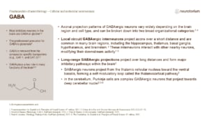 Slide showing GABA as the main inhibitory neurotransmitter, including its functions and local and long-range neuronal projections.