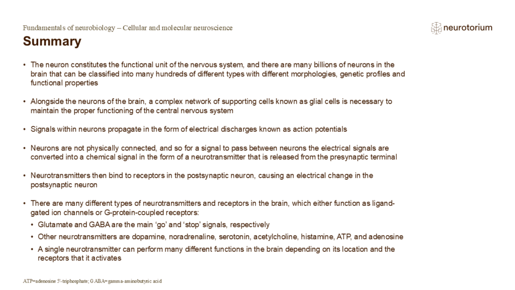 Summary of Cellular and Molecular neuroscience slidedeck