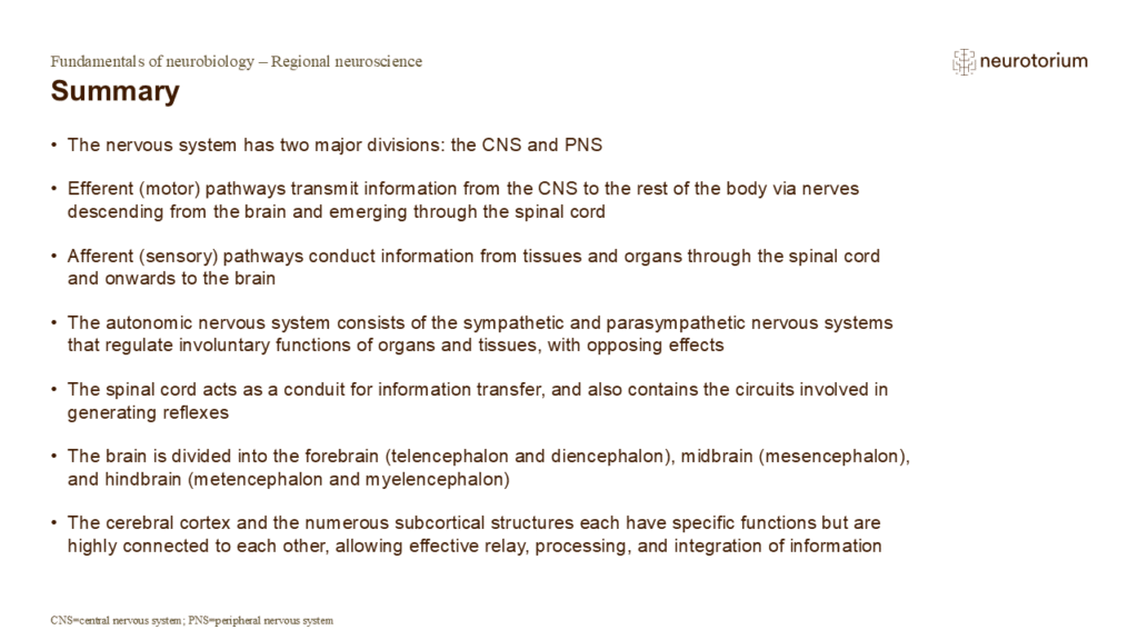Summary of Fundamentals of Neuroscience slide deck focusing on regional neuroscience