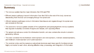 Summary of Fundamentals of Neuroscience slide deck focusing on regional neuroscience