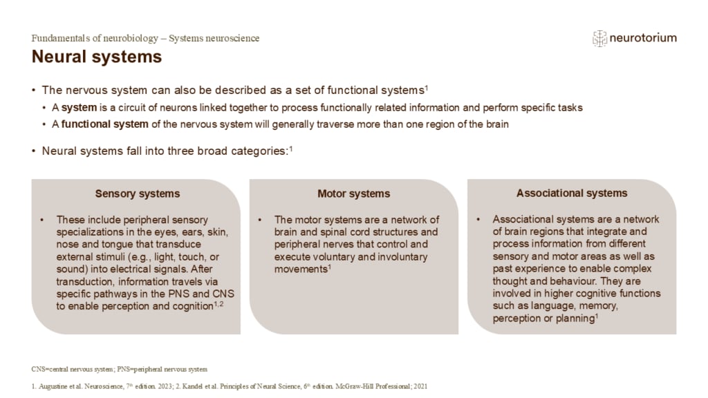 Neural systems includes both sensory systems, motor systems and associational systems