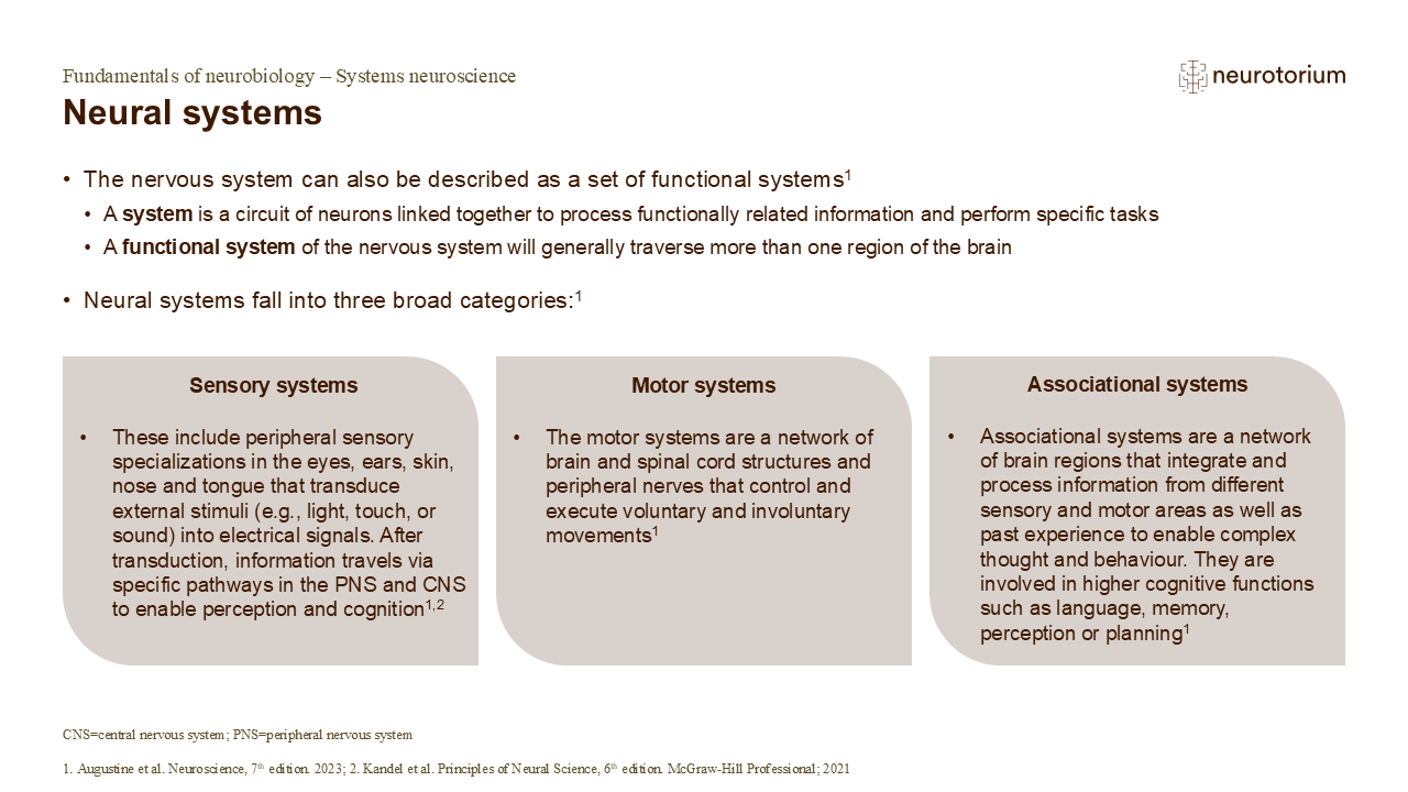 Neural systems includes both sensory systems, motor systems and associational systems