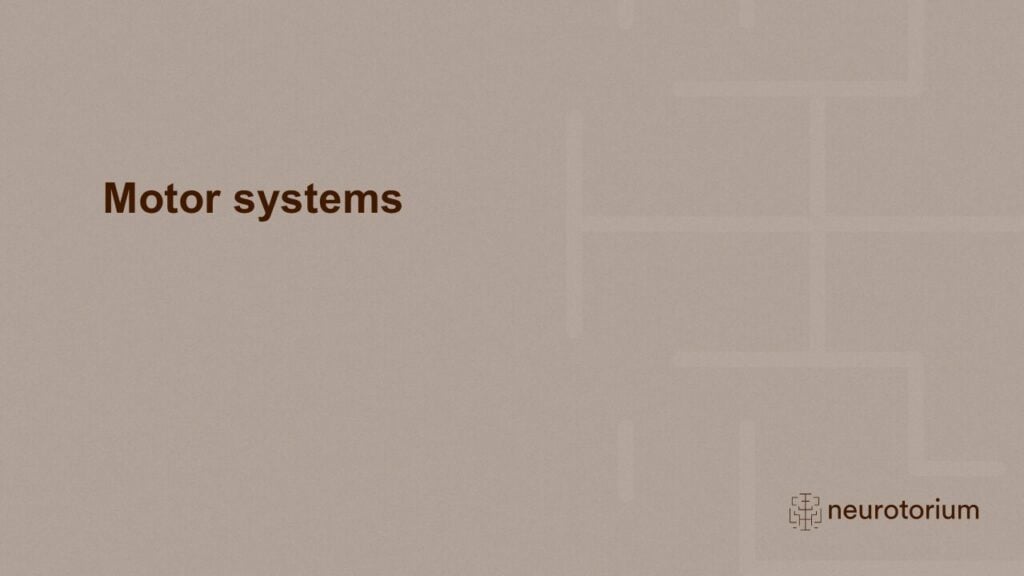 Slide introducing the motor systems chapter