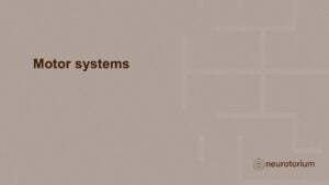 Slide introducing the motor systems chapter